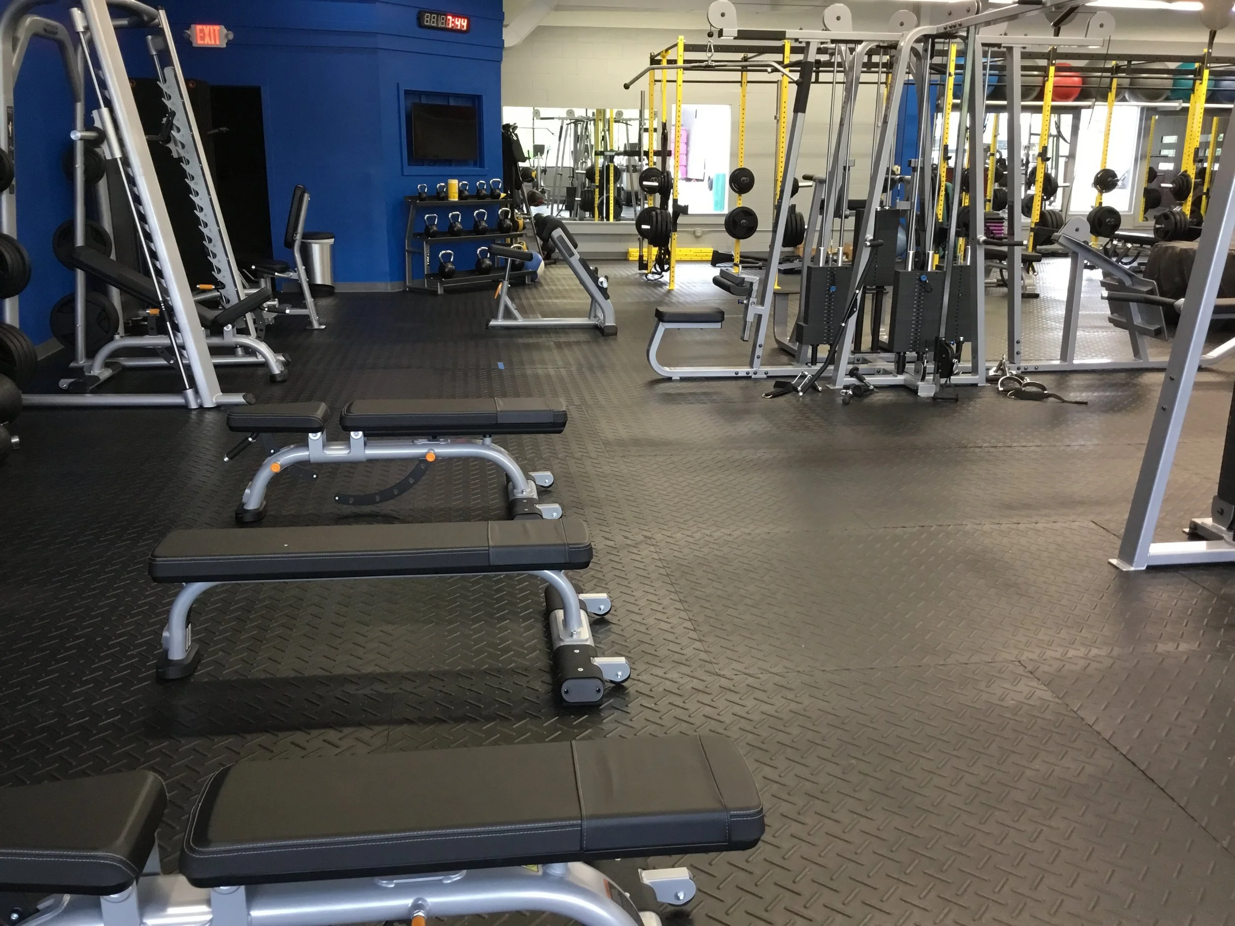TAG Dumbells up to 110lbs and multiple benches
