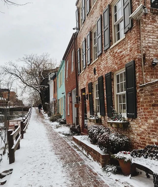 Missing the snow but not the cold🙅‍♀️ #MyGeorgetown 📸: @gaiapipitone