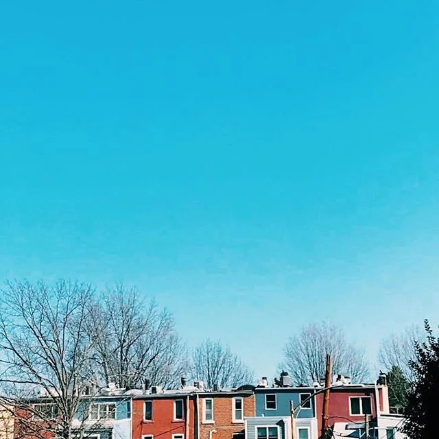 Dear spring, why do you insist on teasing us like this? #MyGeorgetown 📸: @jennaclifford1