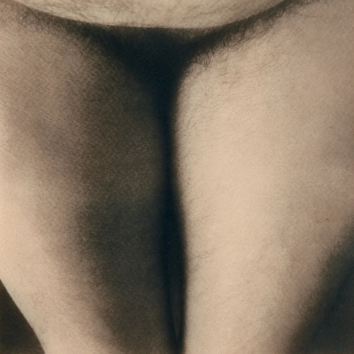 Pubis_Toned.jpg