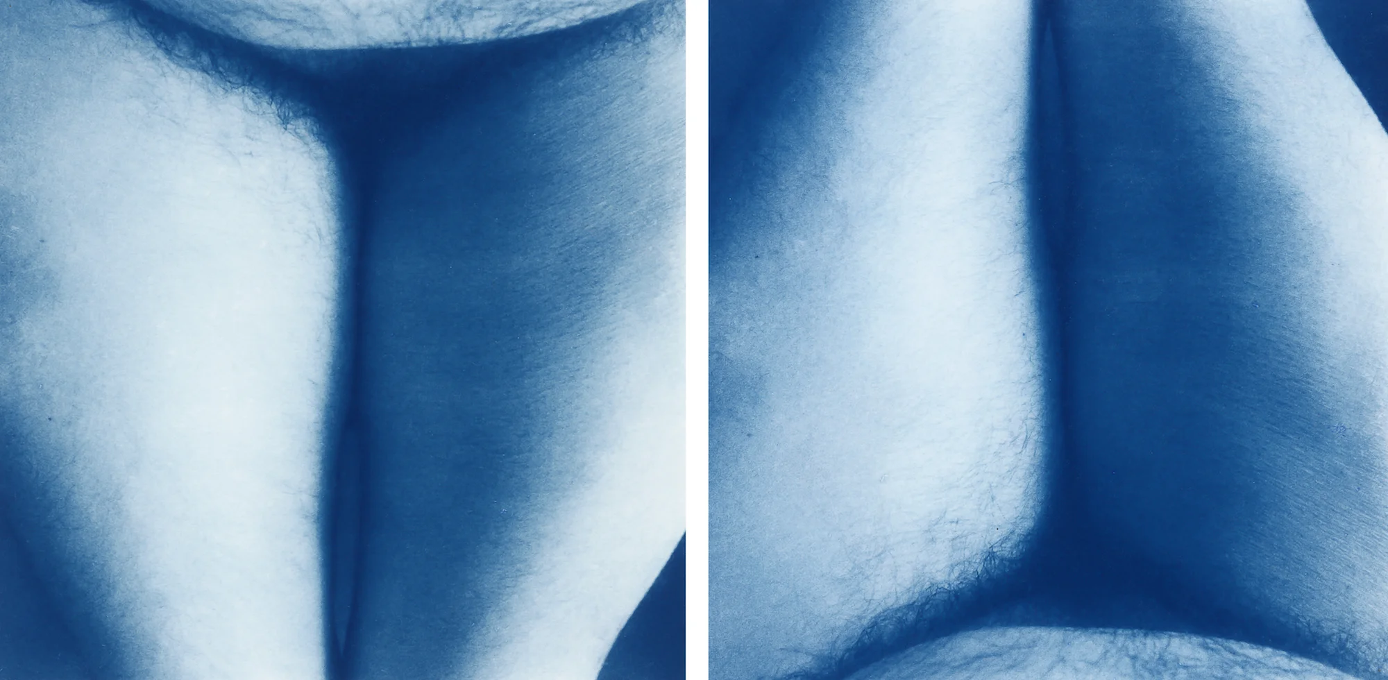 diptych2b copy.jpg