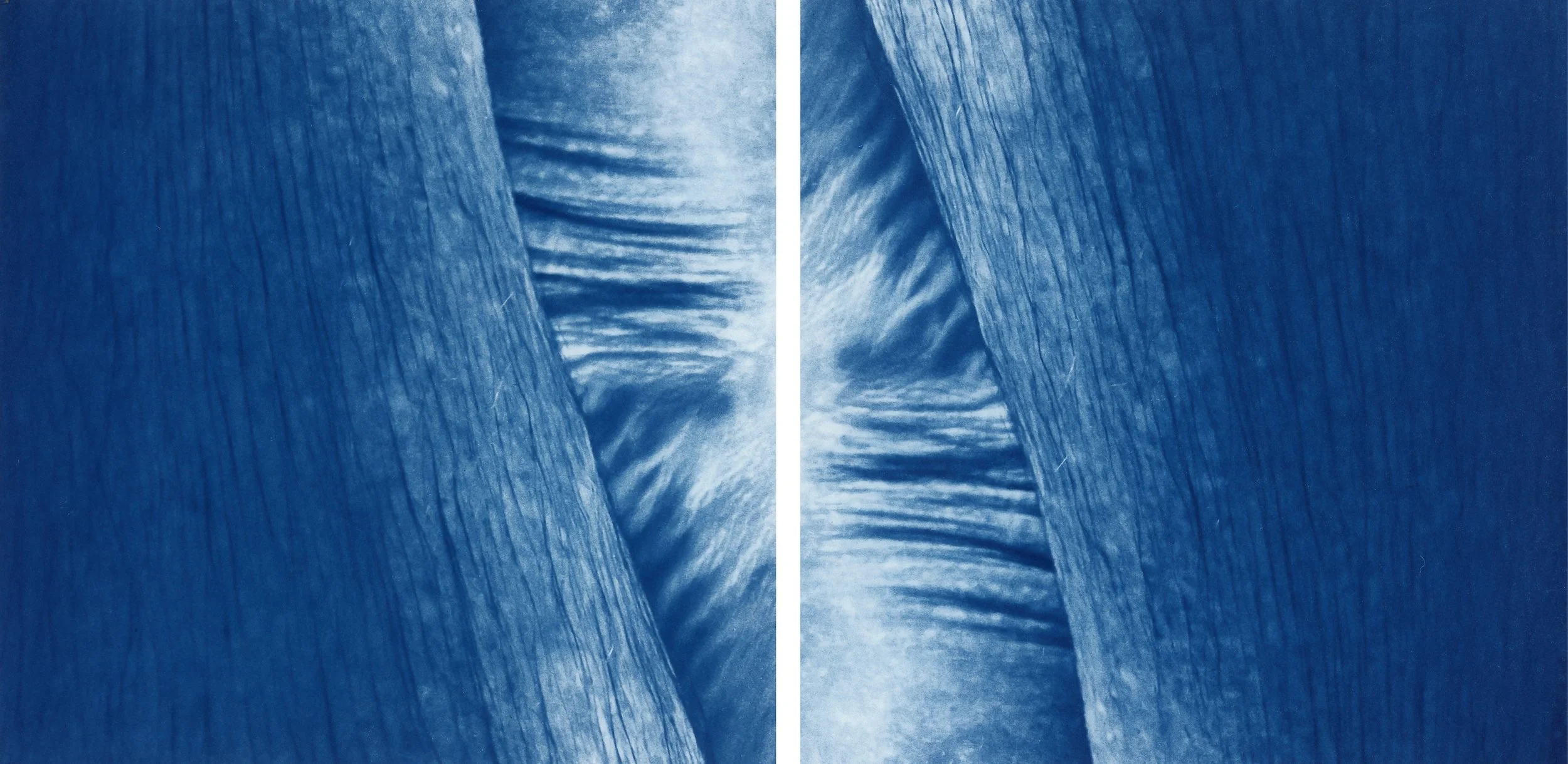 Diptych_Ankles copy.jpg