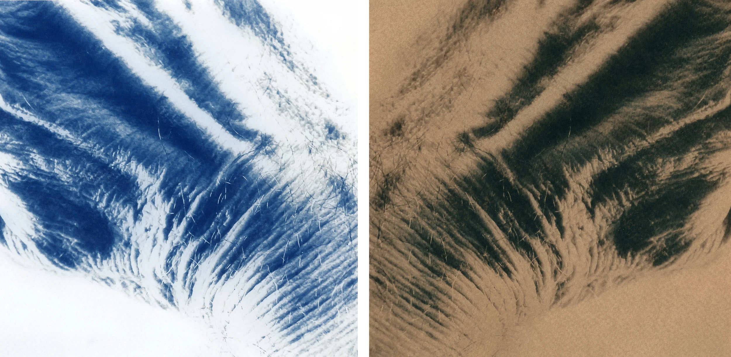Diptych_Hands copy.jpg