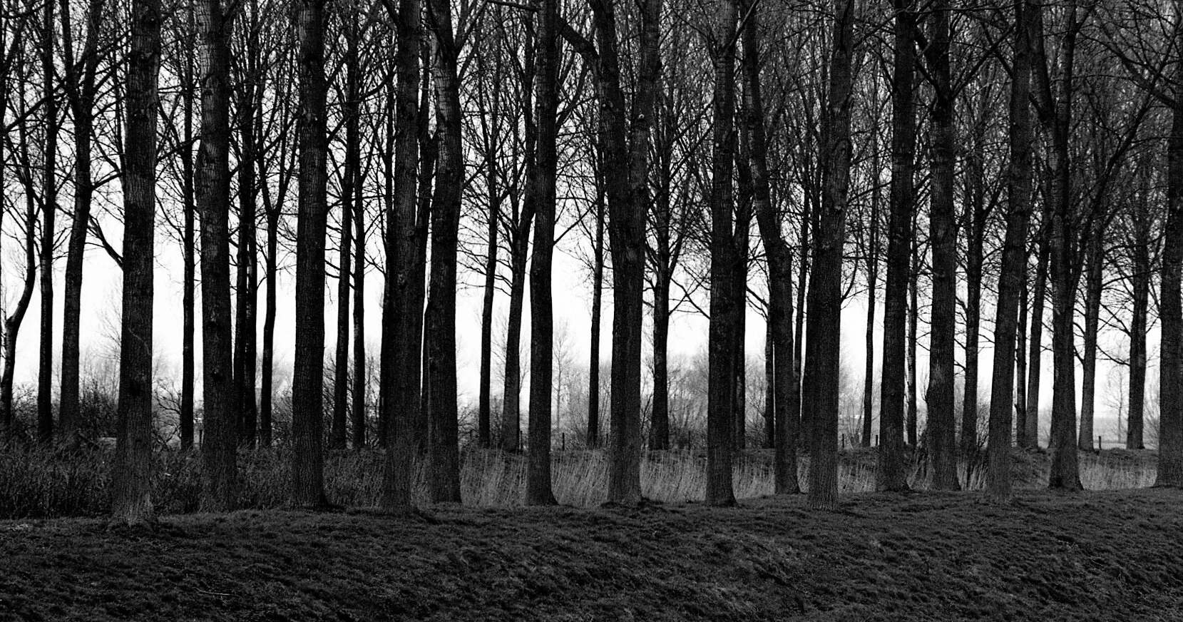 Flamders_Sunset copy.jpg