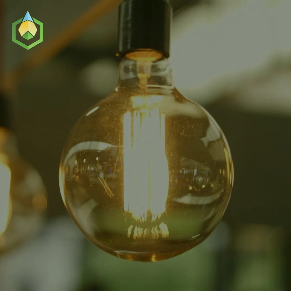 Green Bounty and Airdrop Explanation