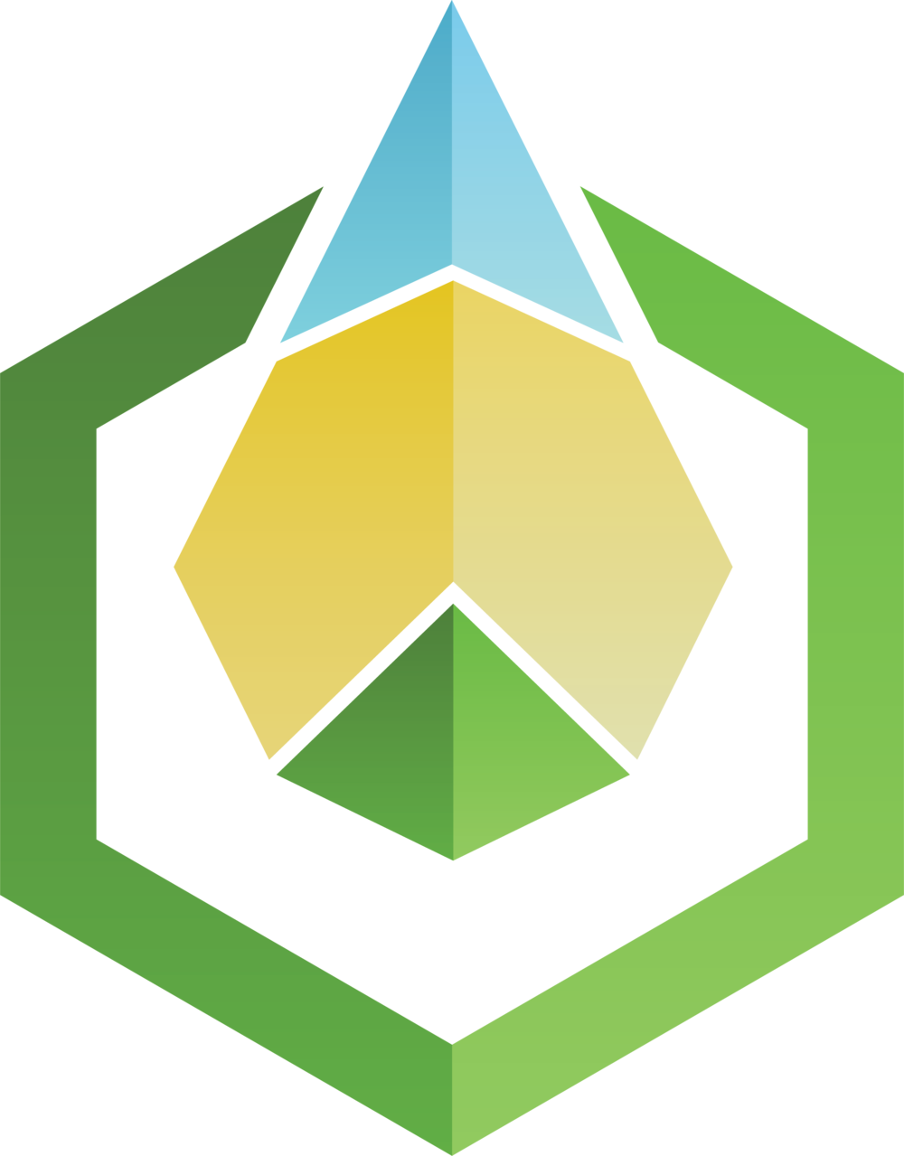 All You need to Know About the Greeneum Network