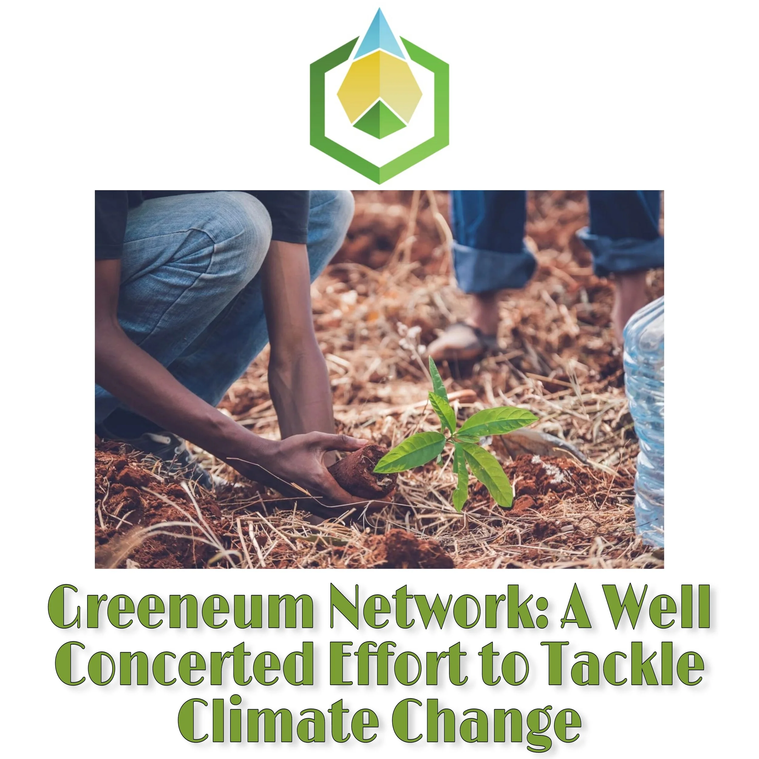 Greeneum Network: A Well-Concerted Effort to tackle Climate Change