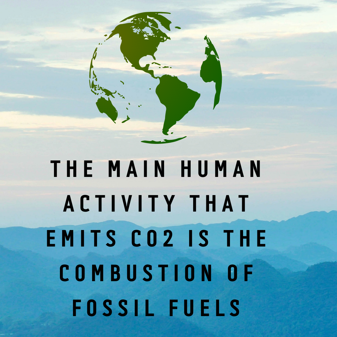 CO2 emissions and Renewable Energy Incentives