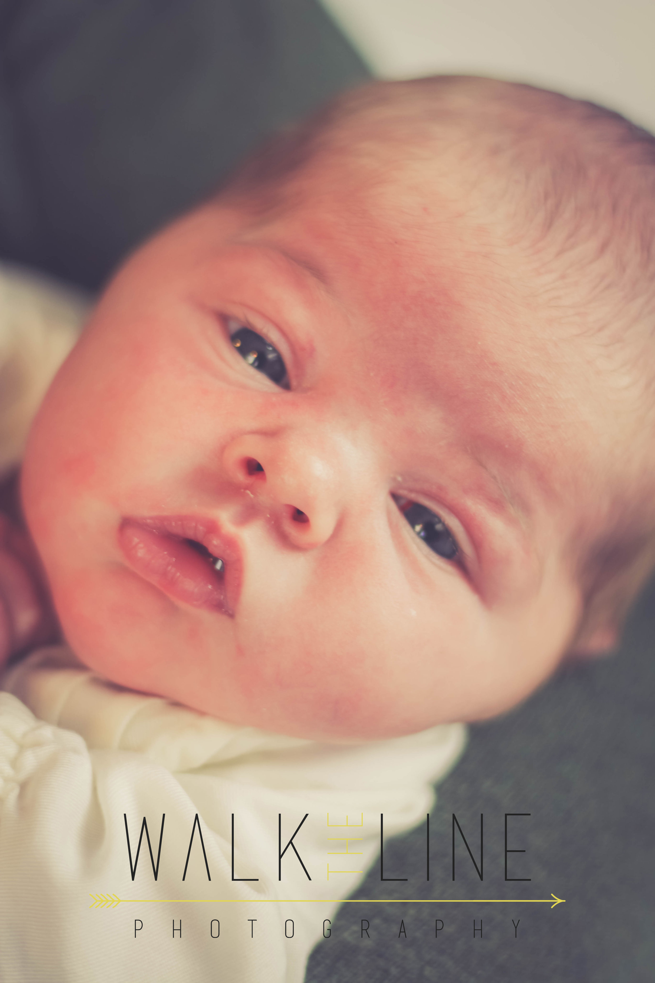 20171215-IMG_7816 copy.jpg