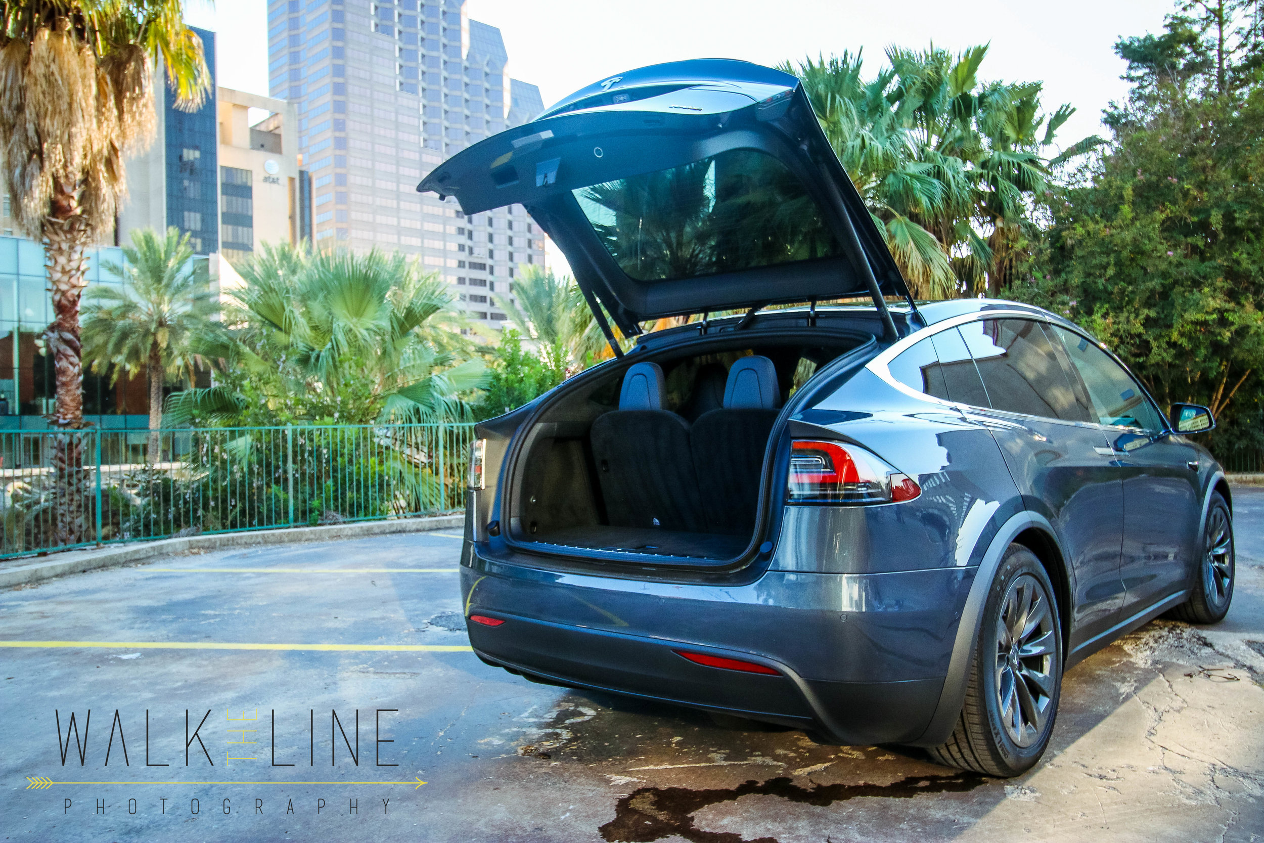 Tesla (10 of 11).jpg