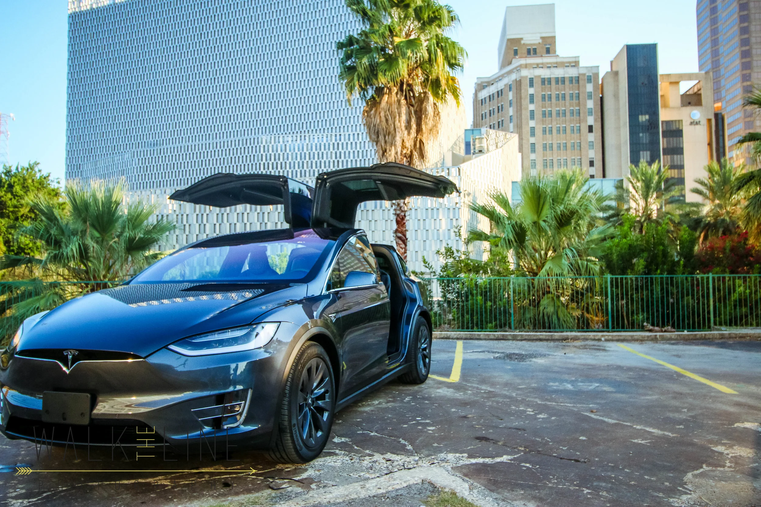 Tesla (11 of 11).jpg