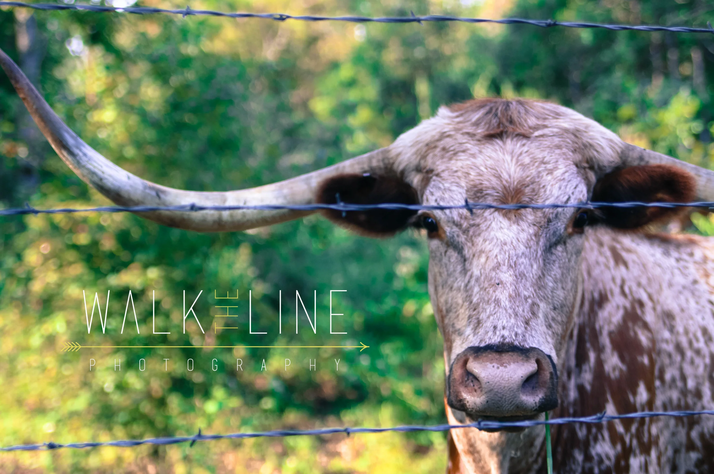 SoTex_Round Top (3 of 7).jpg