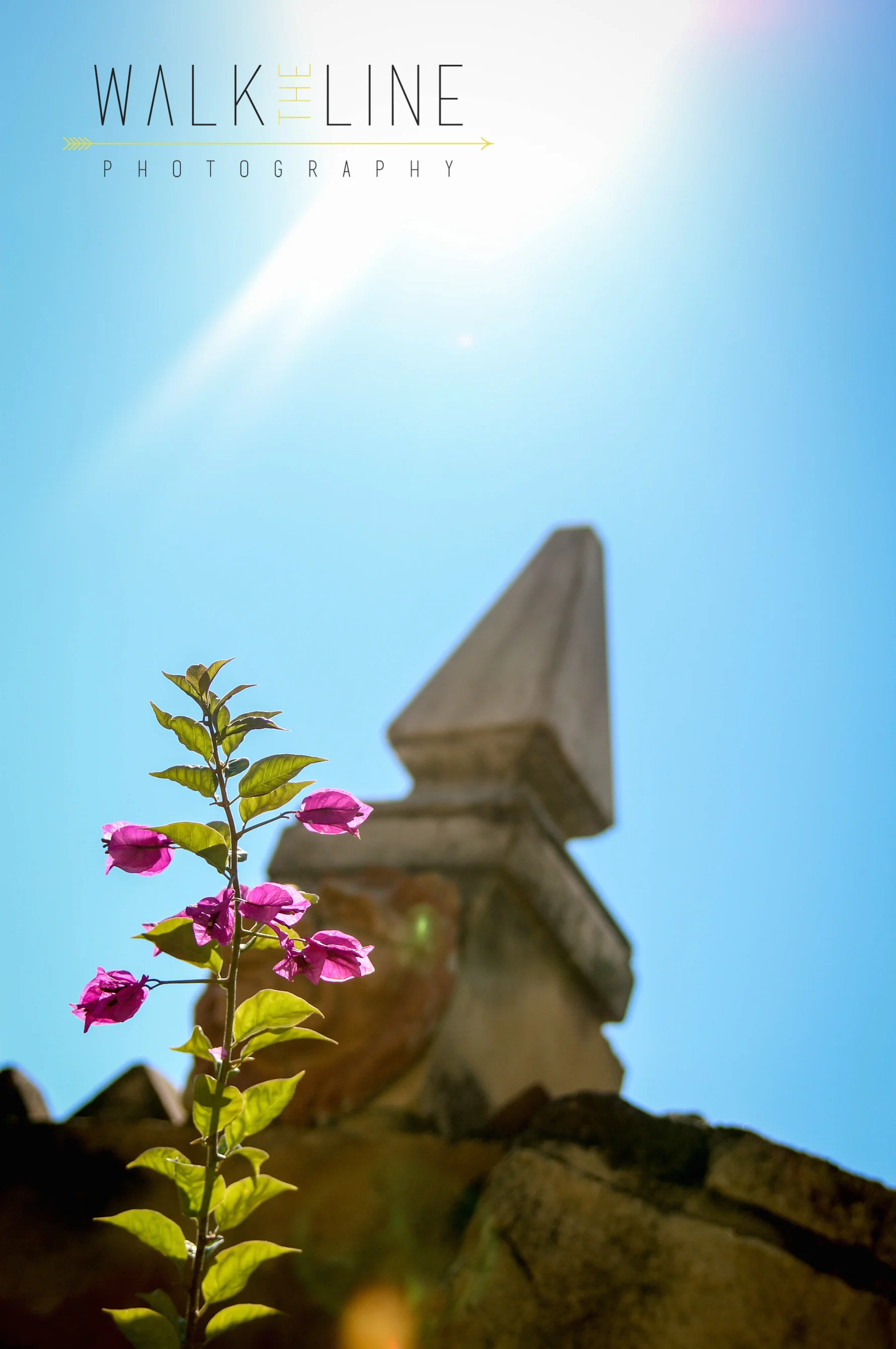 SoTex_Round Top (6 of 7).jpg