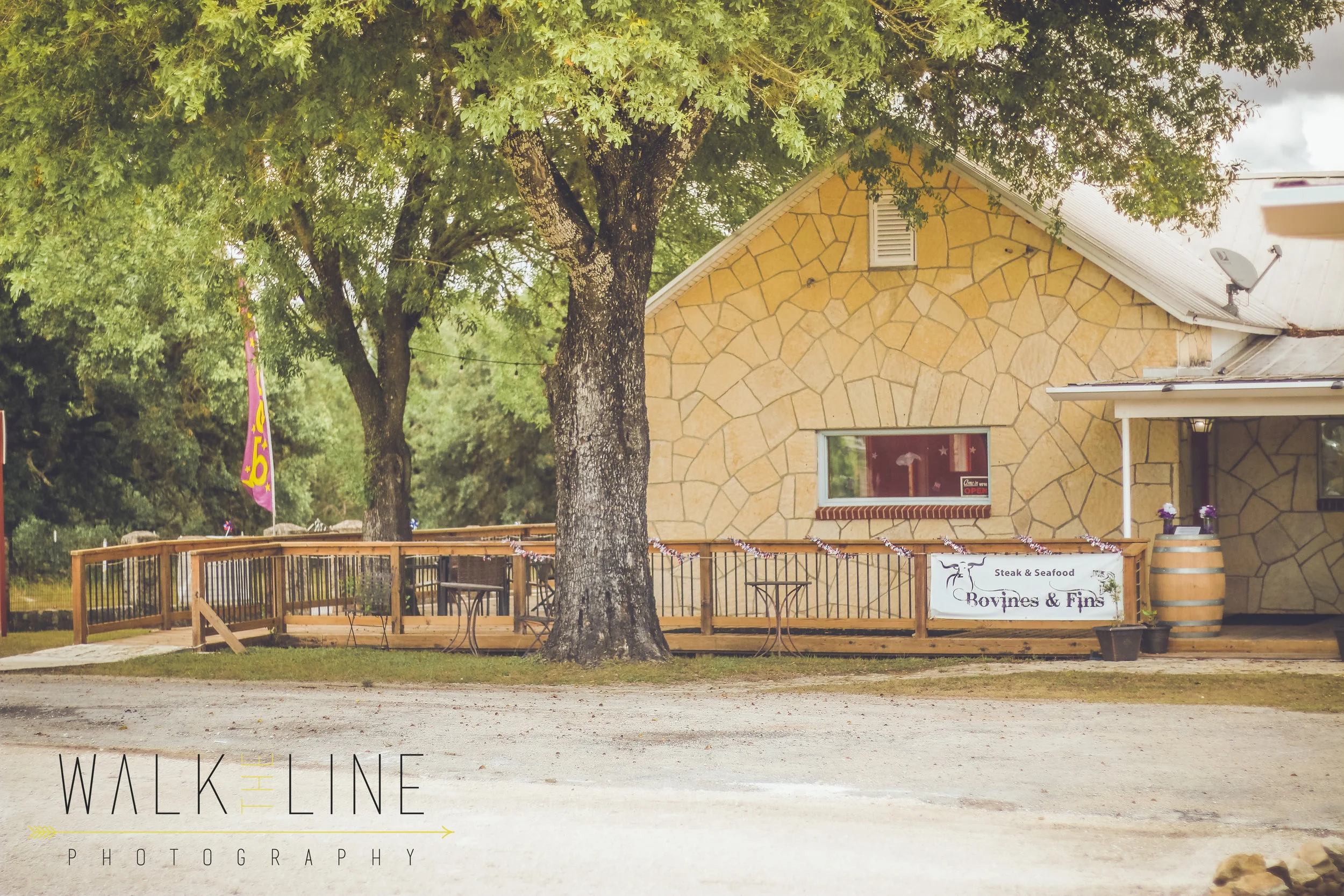 Bovines&Fins (2 of 55).jpg