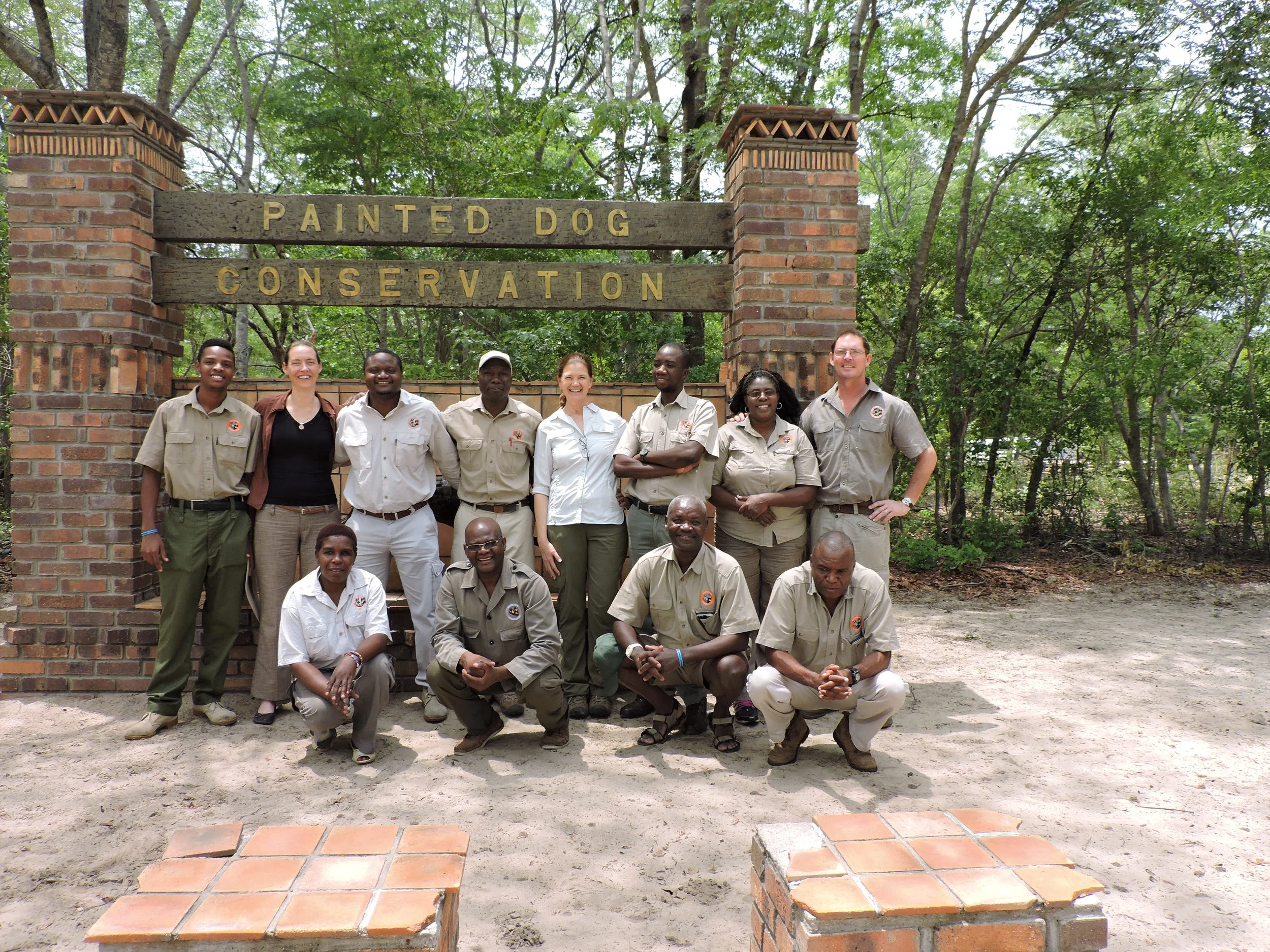 Meet the team — Painted Dog Conservation