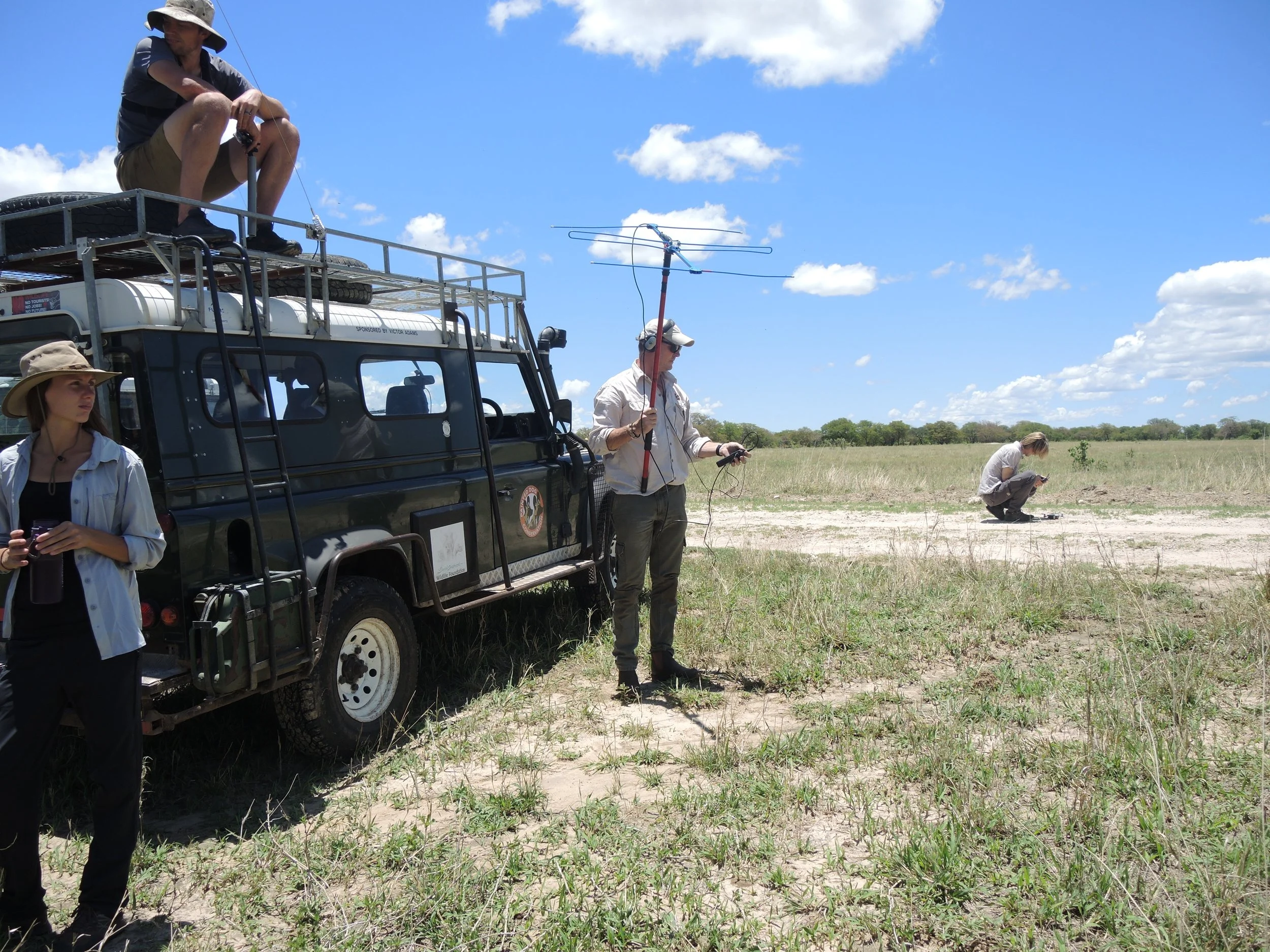 Peter checking the signal of the collars on Jonathan and Snow-Tail after the release