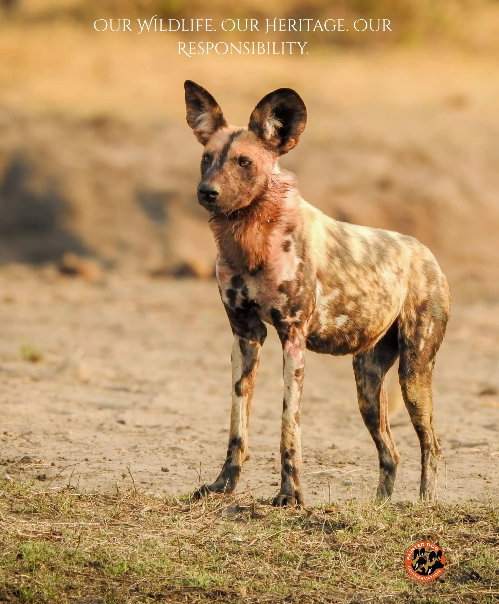 Africa&rsquo;s natural heritage is one of its greatest treasures &mdash; rich in biodiversity, wildlife and ecosystems that sustain both people and planet.

On this #AfricaDay , we celebrate the resilience, beauty and importance of conserving our wil