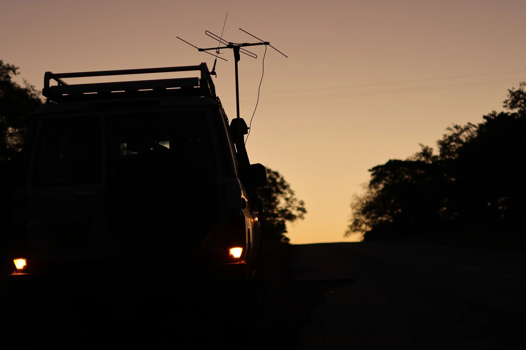 Every denning season brings hope. It also brings immense responsibility.

Despite months of carefully encouraging the Umkhonto pack towards safer denning areas, they have once again chosen one of the most dangerous places to raise their pups.
Their d