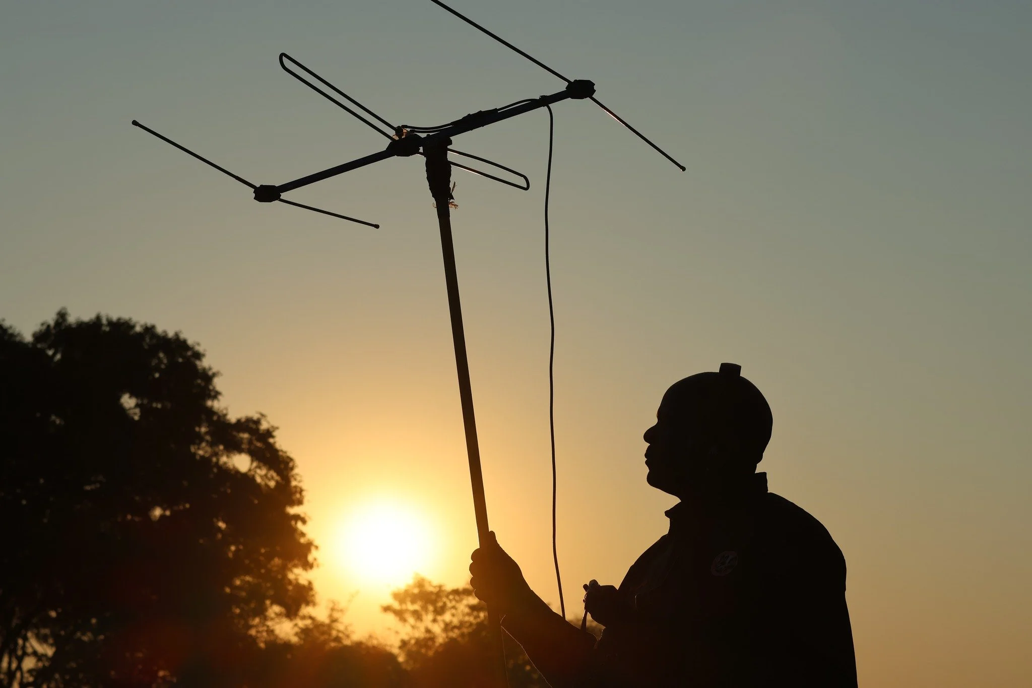 Before first light, the work has already begun.

As the first rays of sunlight reach the Gwayi landscape, our research team is already tracking the Umkhonto Pack, monitoring their movements and gathering critical information to better understand and 