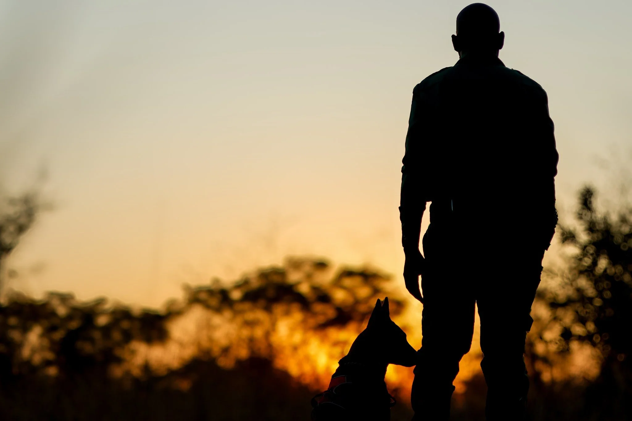 Every sunrise begins with protection.

Before the day begins across the landscape, our anti-poaching teams are already on the ground. Alongside trained detection dogs like Soma, they patrol the landscapes that painted dogs and other wildlife depend o