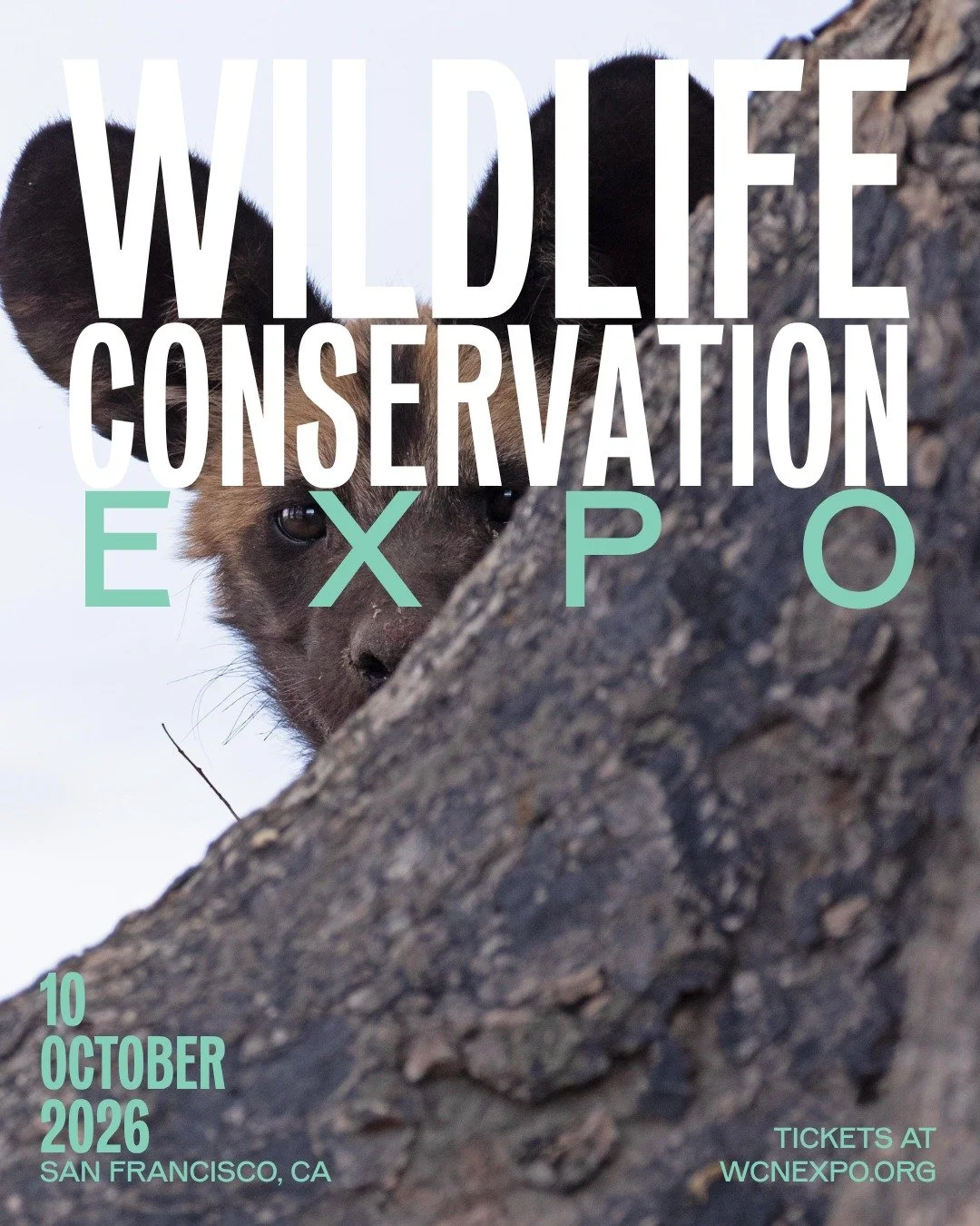 Join us in San Francisco, California at the Wildlife Conservation Expo! Conservationist and PDC Executive Director, @peterblinston, is meeting up with @wildnetorg&rsquo;s global community of fellow conservationists and wildlife enthusiasts for the bi