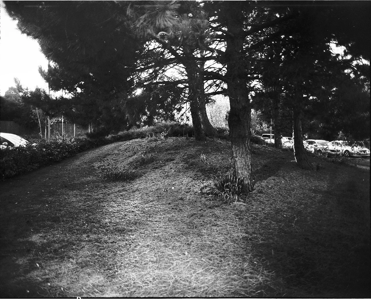 Scan 1.jpg