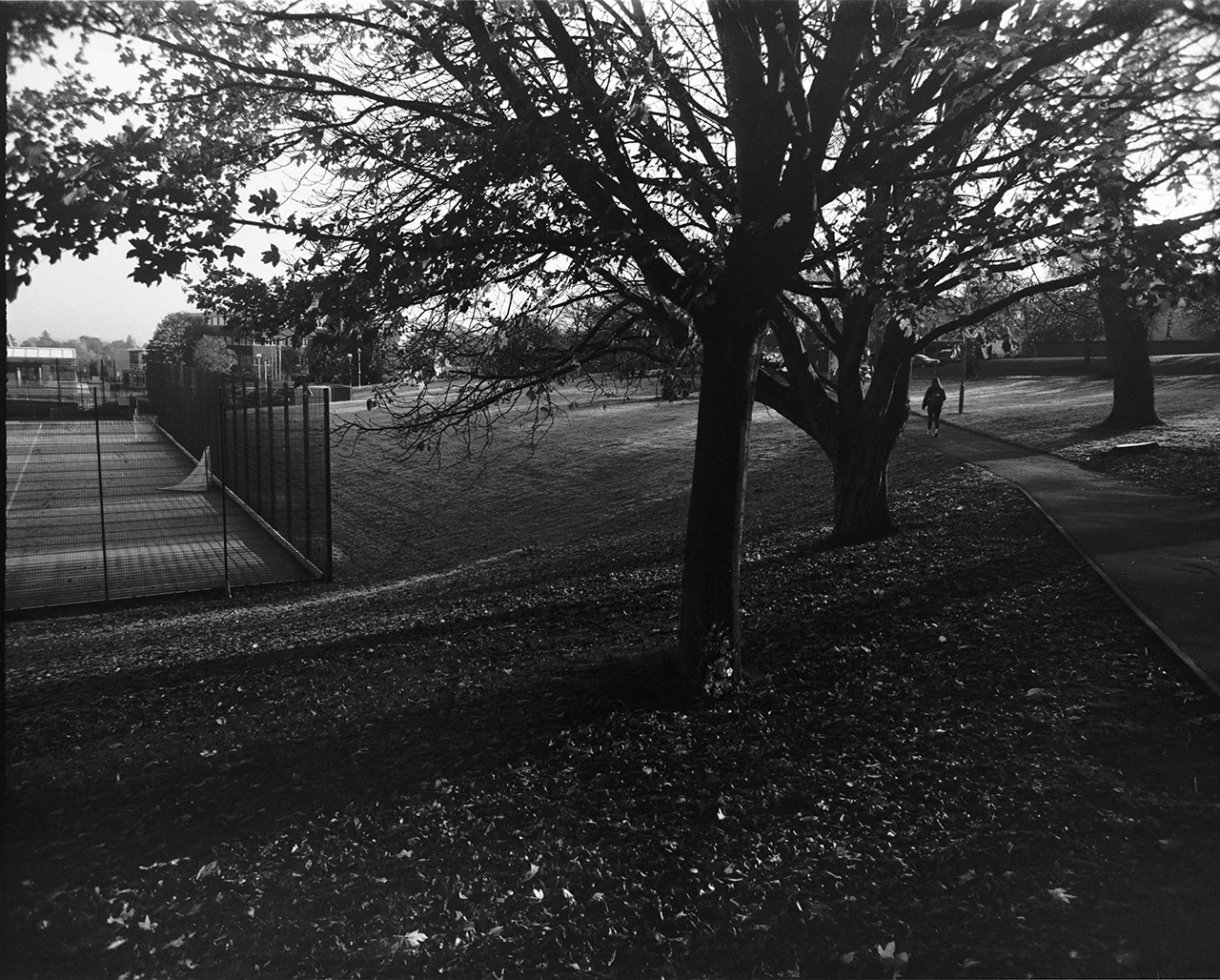 Scan 4.jpg
