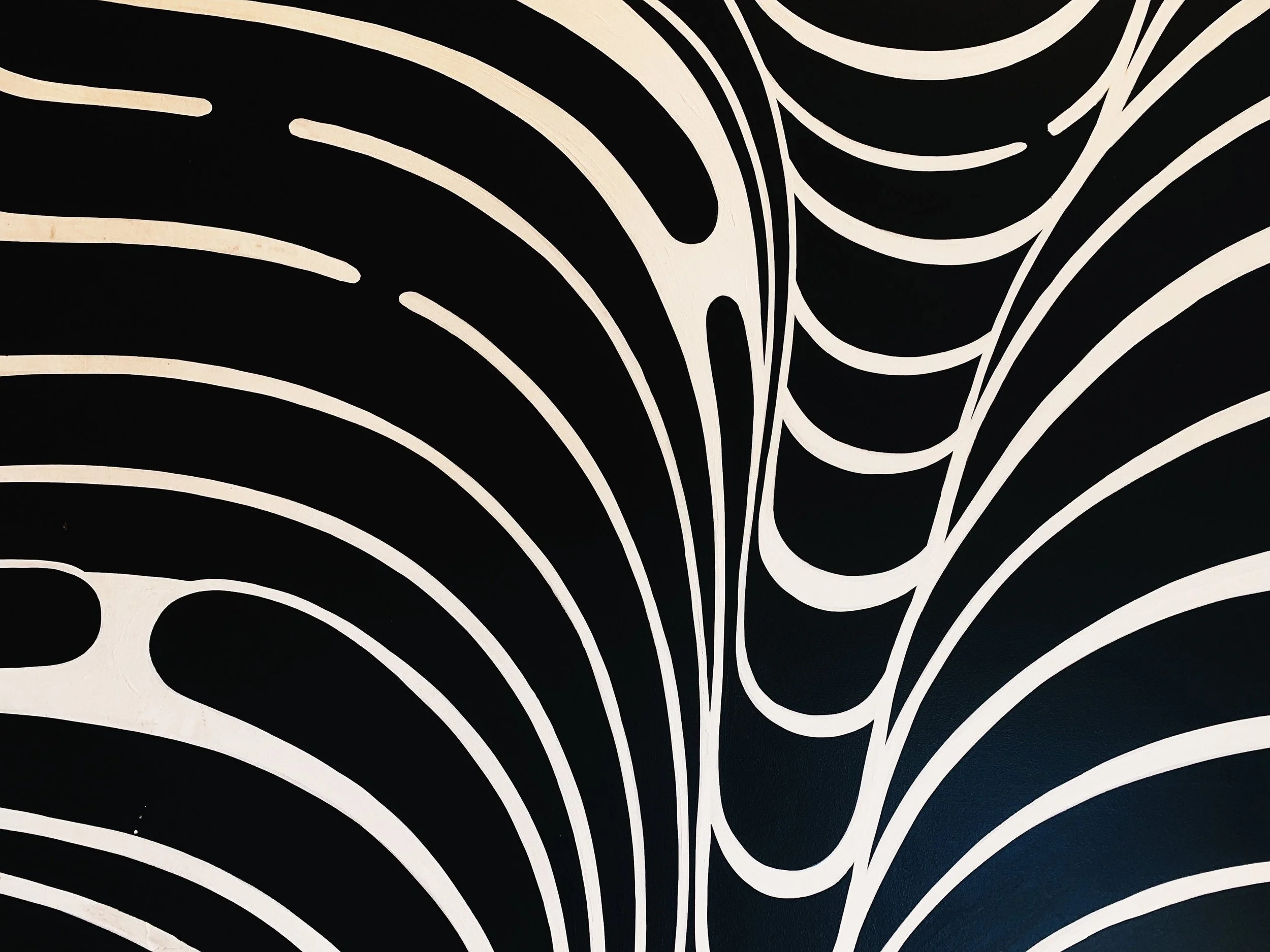 Suzi has been a great creative inspiration; providing both a strategic & creative mindset. She understands the importance of delivering results.