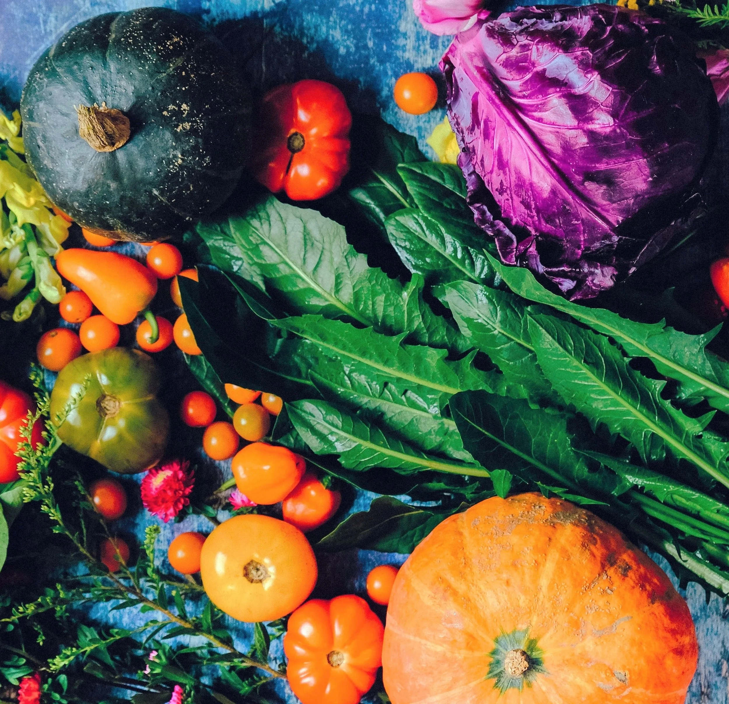 veggies+3+amended.jpg