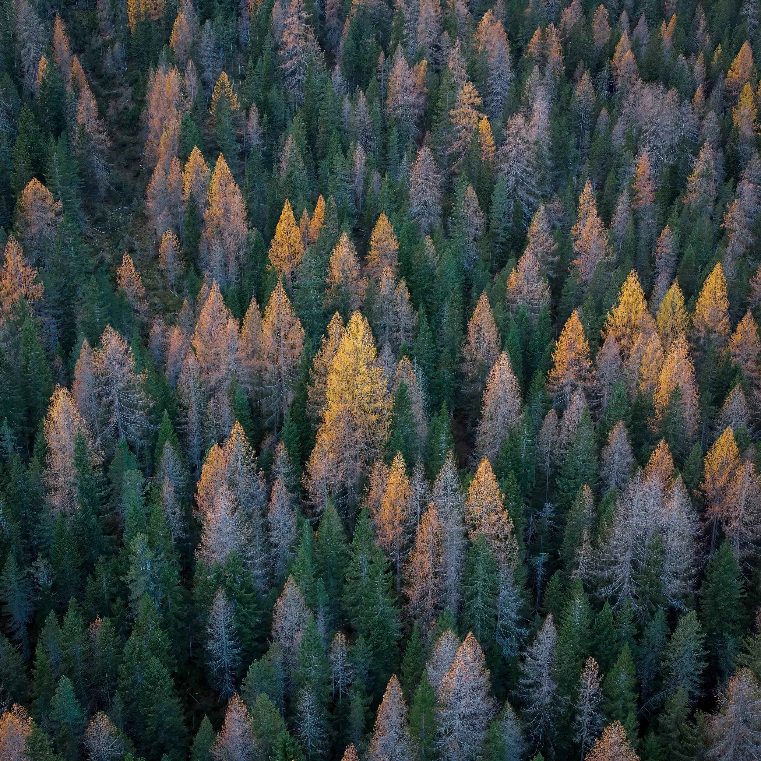 Dolomieten, Italië