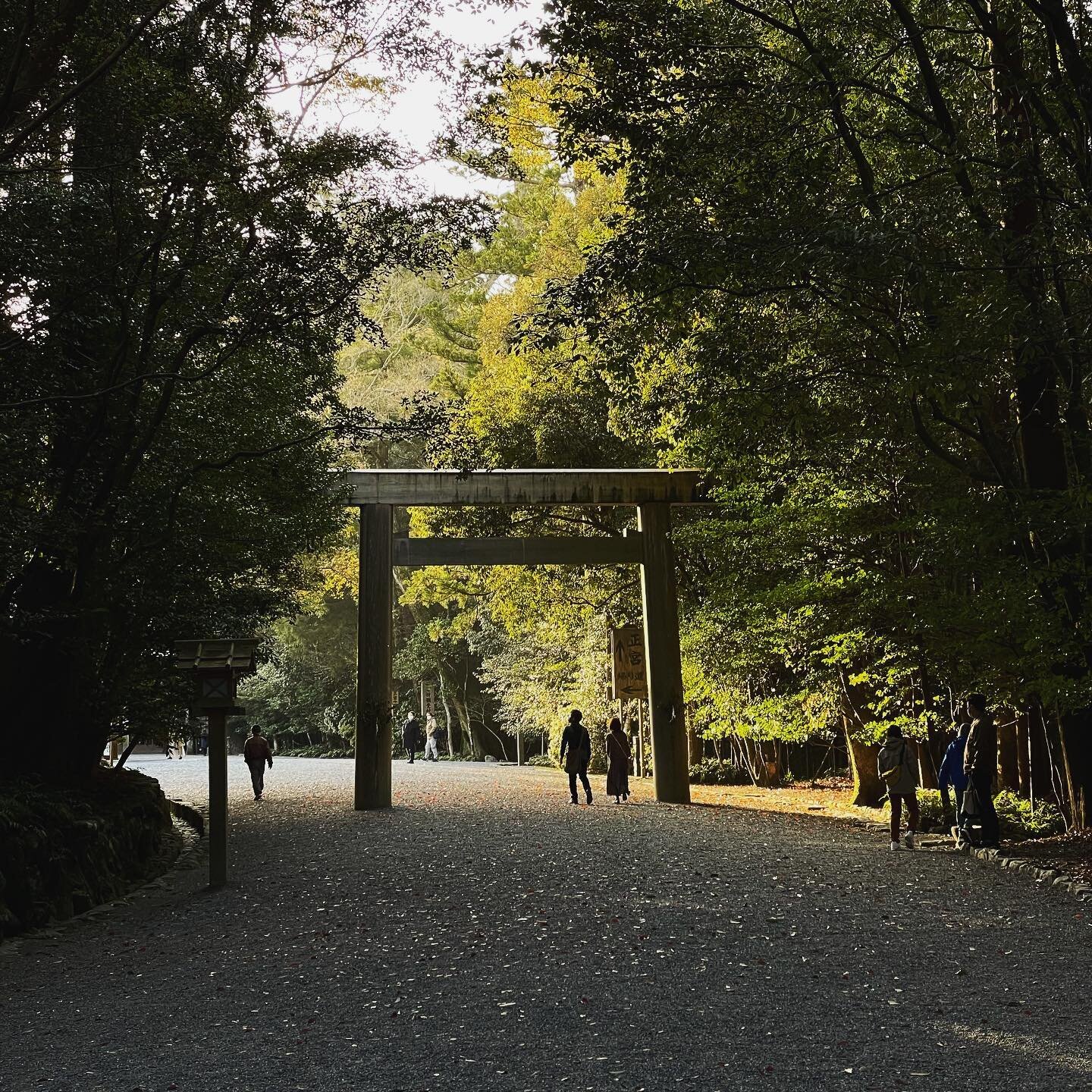 伊勢神宮で見た日の出。