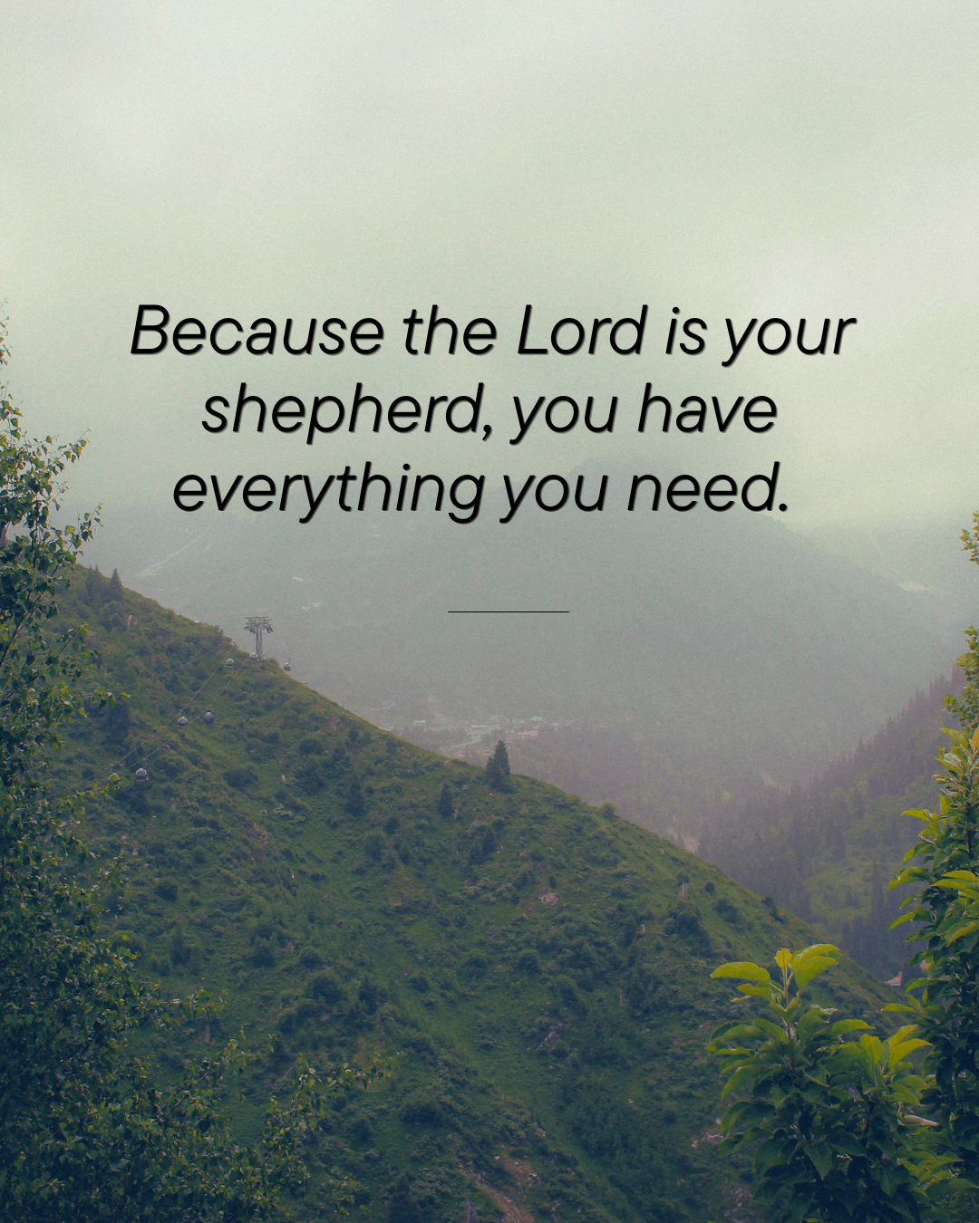 Everything you need.png