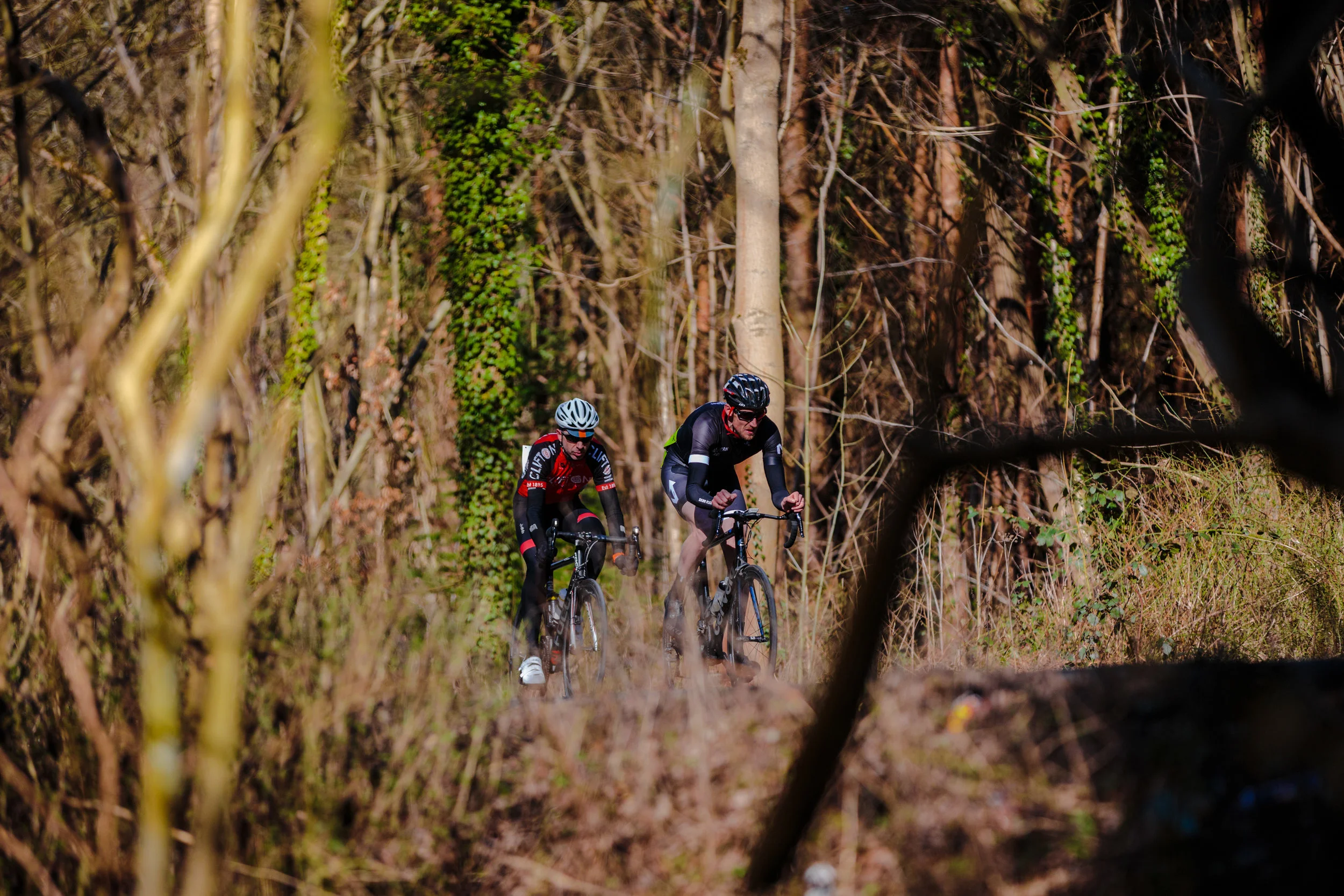 Through the bushes
