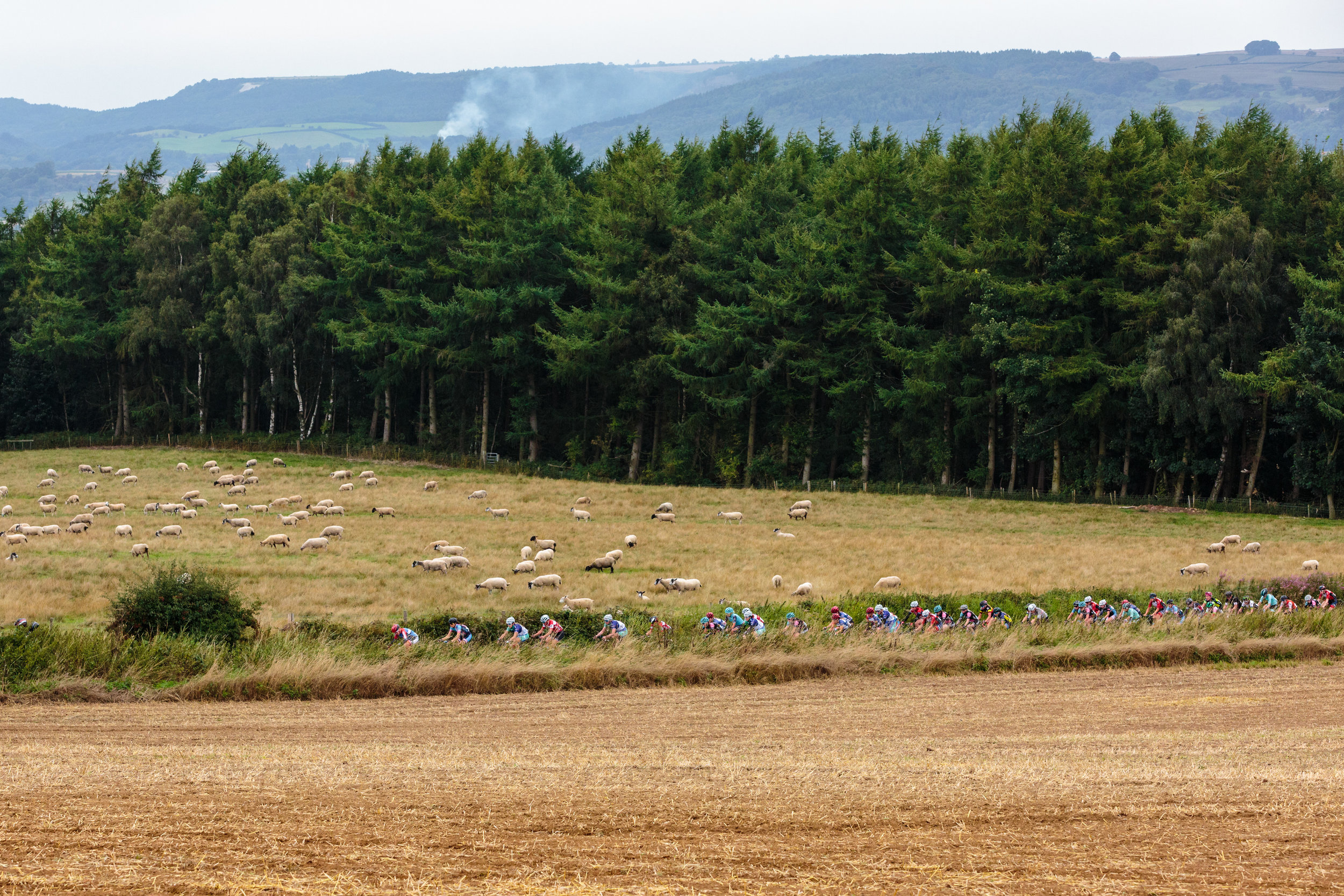 Ryedale GP - Chris Kendall Photography-9943.jpg