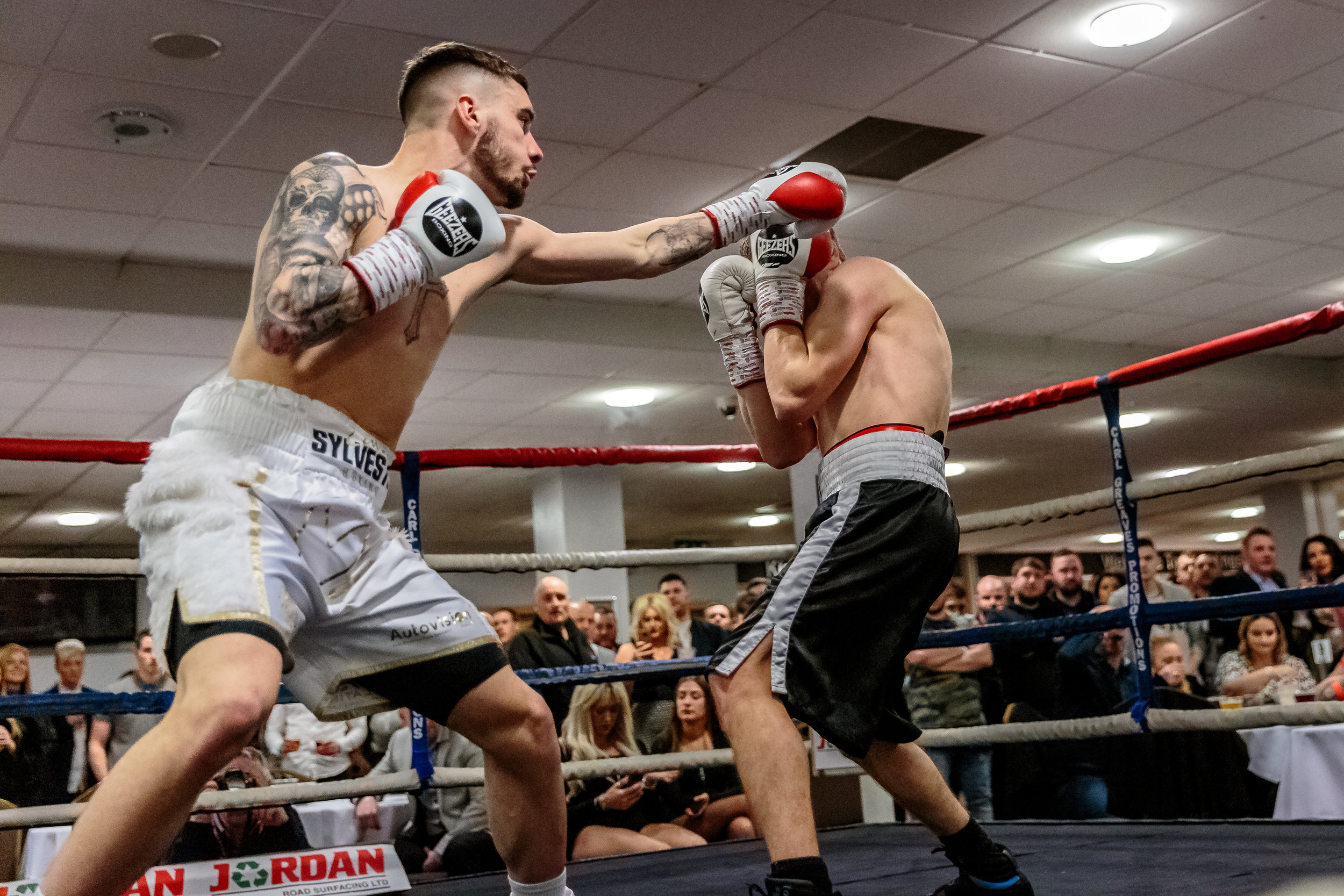 Lewis Sylvester Punch