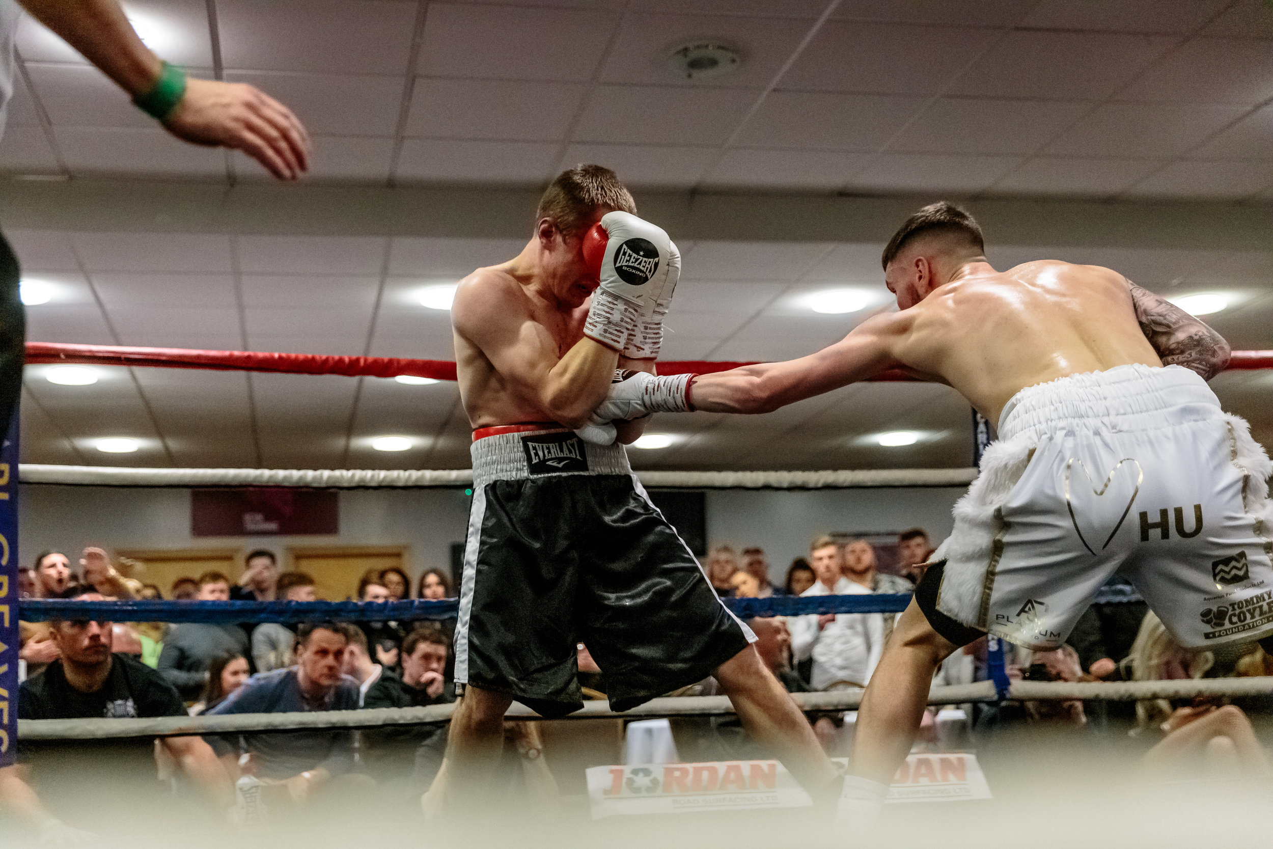 Lewis Sylvester Boxing