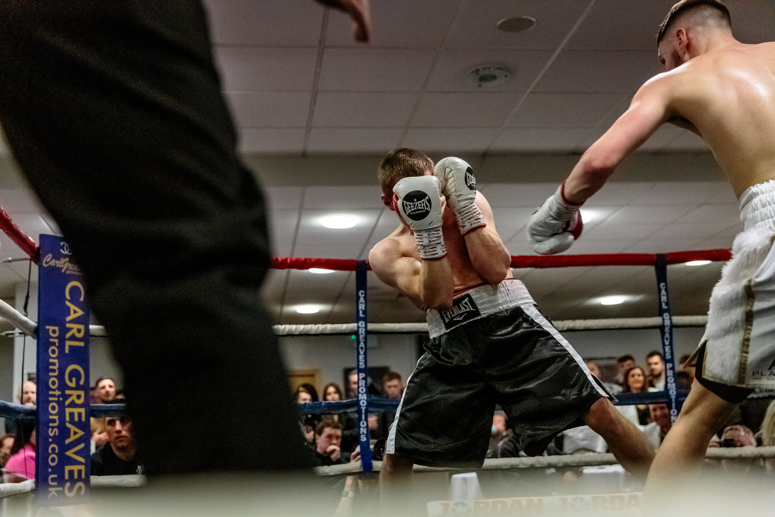Lewis Sylvester Boxing Fight