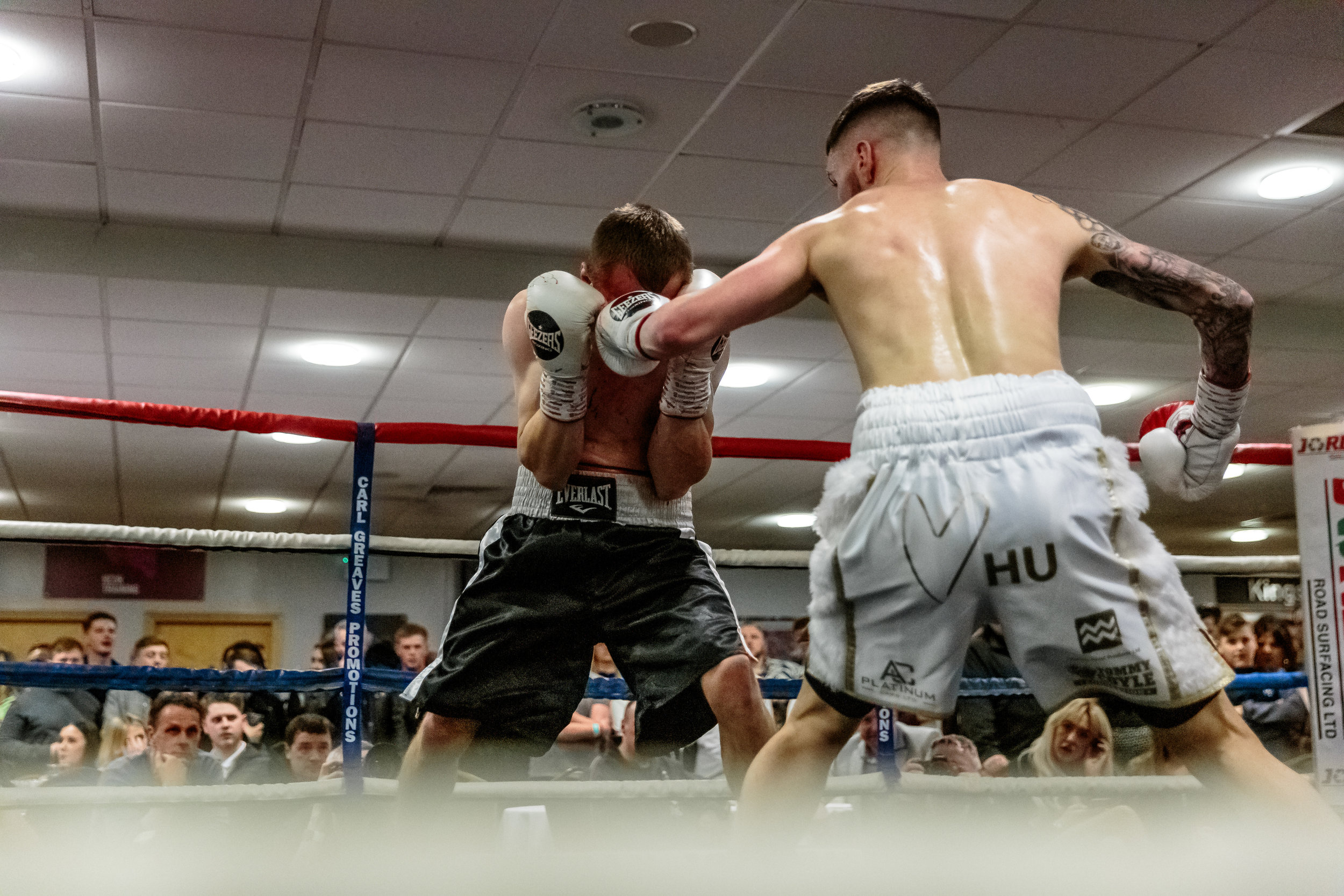 Lewis Sylvester Pro Debut