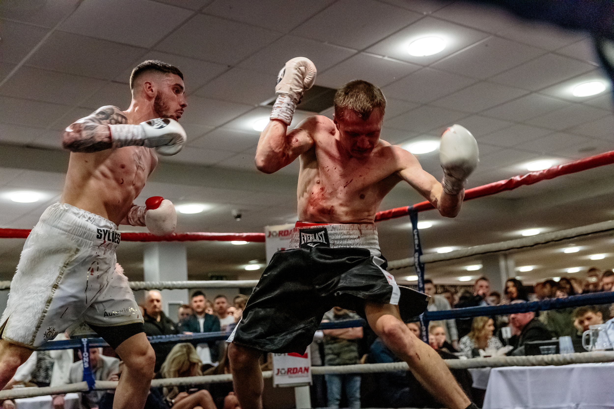 Lewis Sylvester Boxing