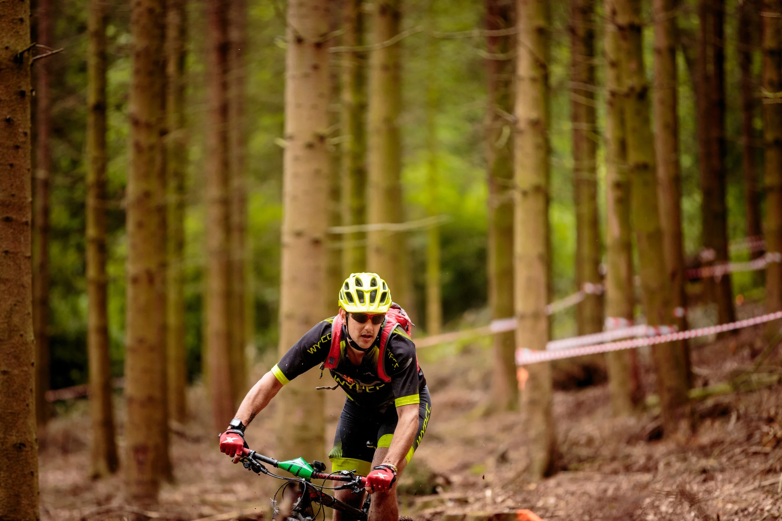 Small Mountain Biker. Big Woods.