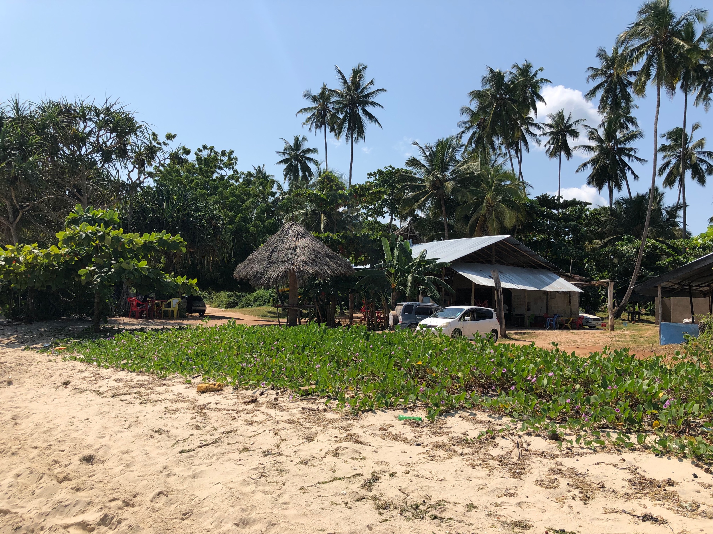 Local taverns