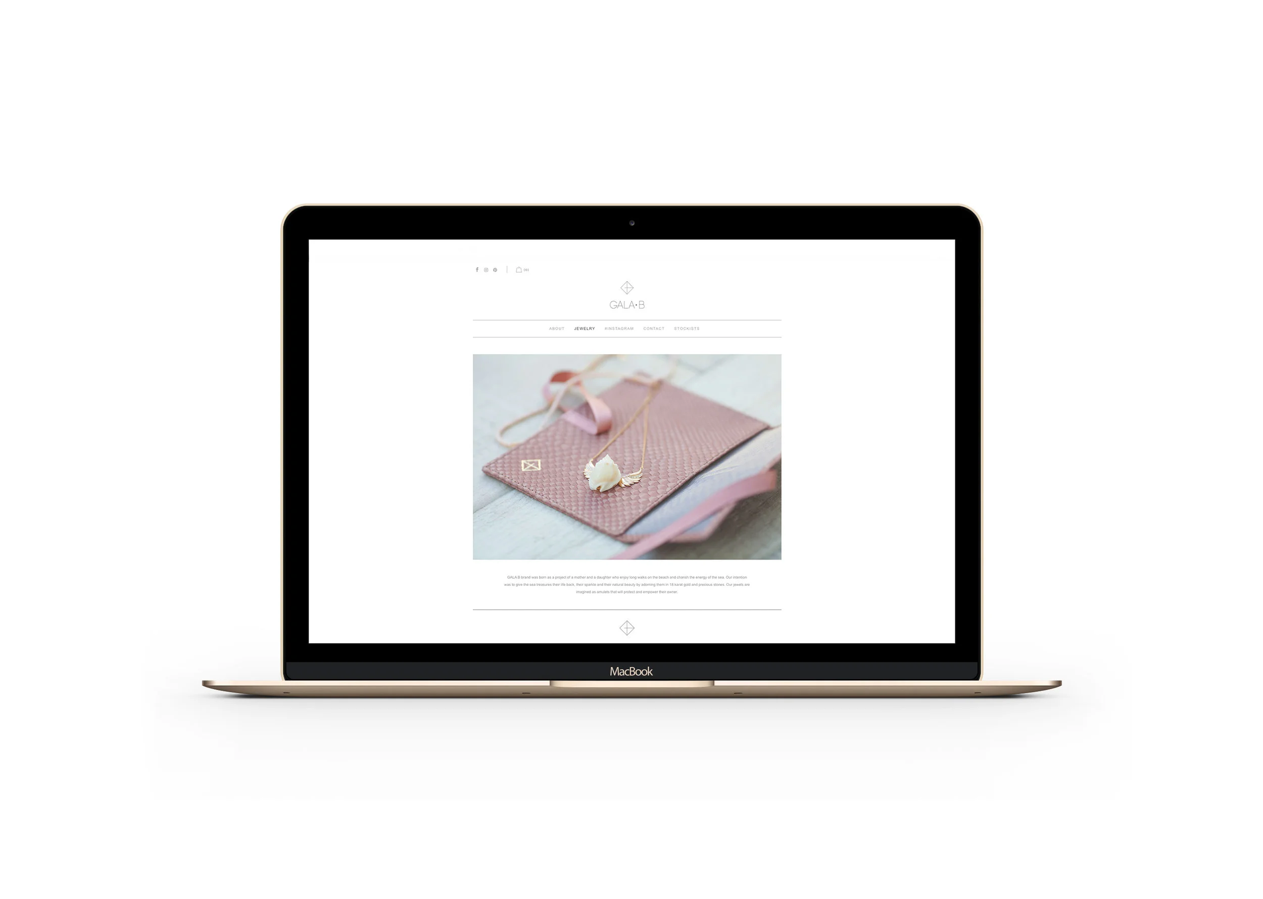 002-MacBook-Gold_HP1.jpg
