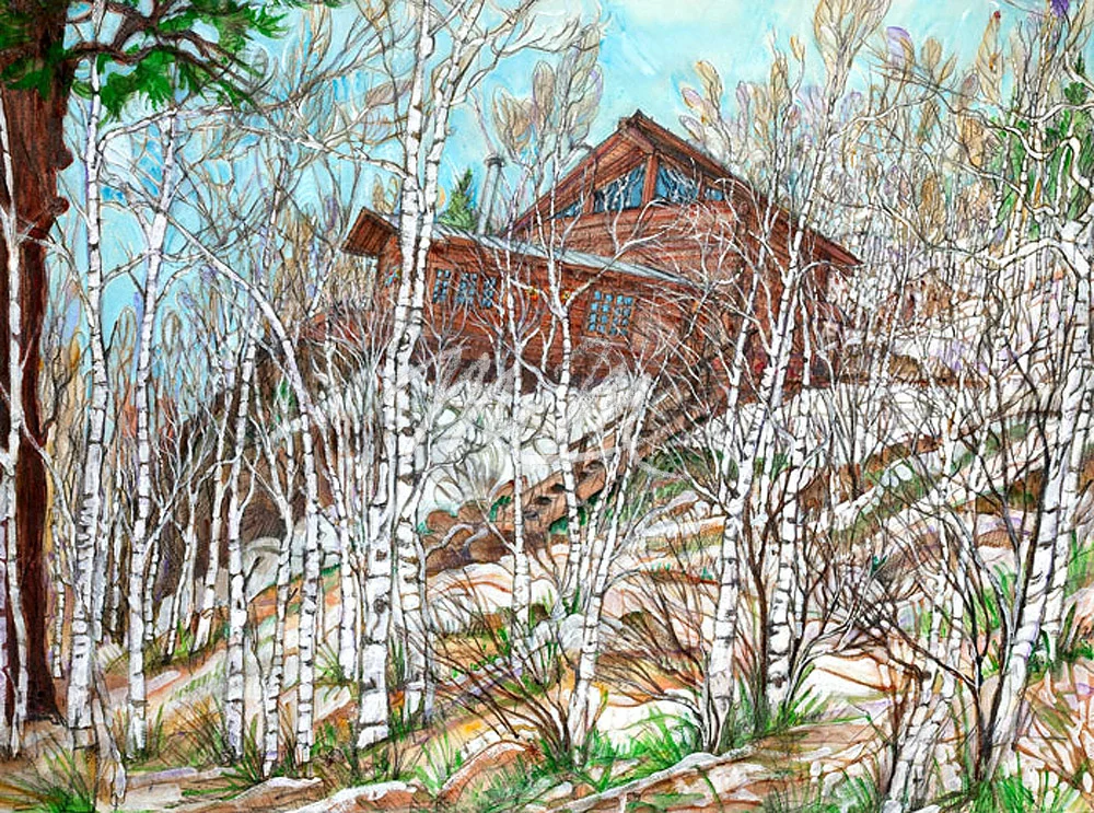 21 Mountain Cabin Spring.jpg