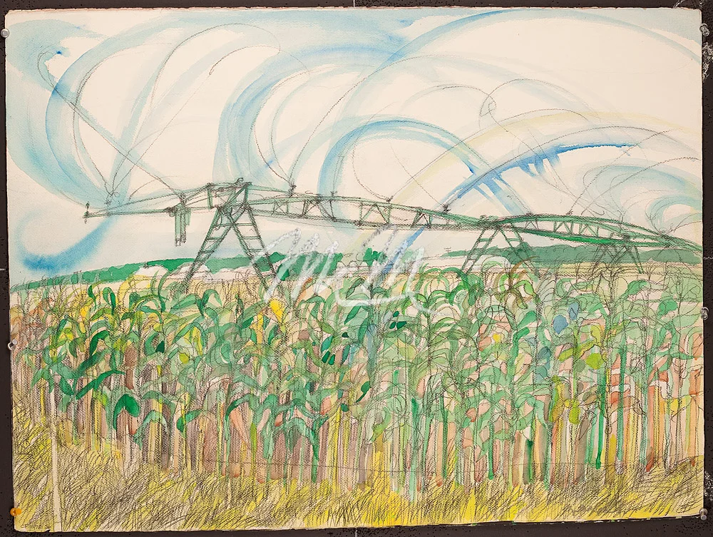 f-m-ct36-ct1081-Farm - Iragation.jpg