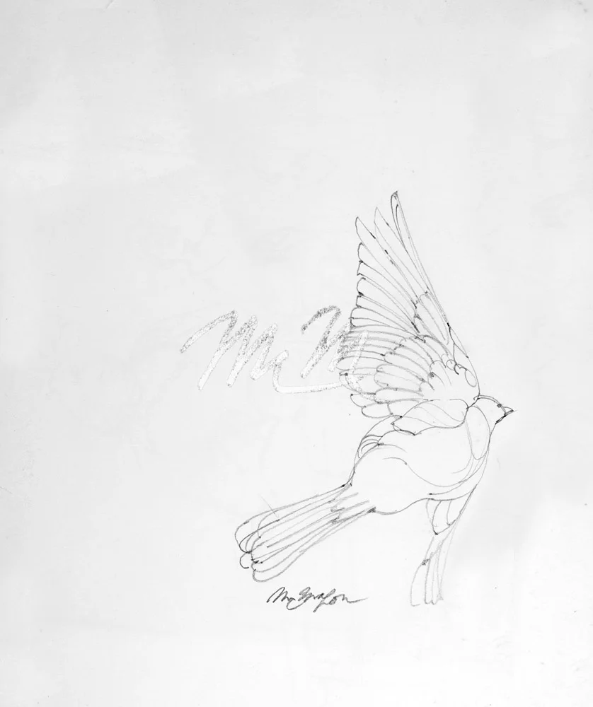 f-MIKE-CT 1791-CT54- Bird.jpg
