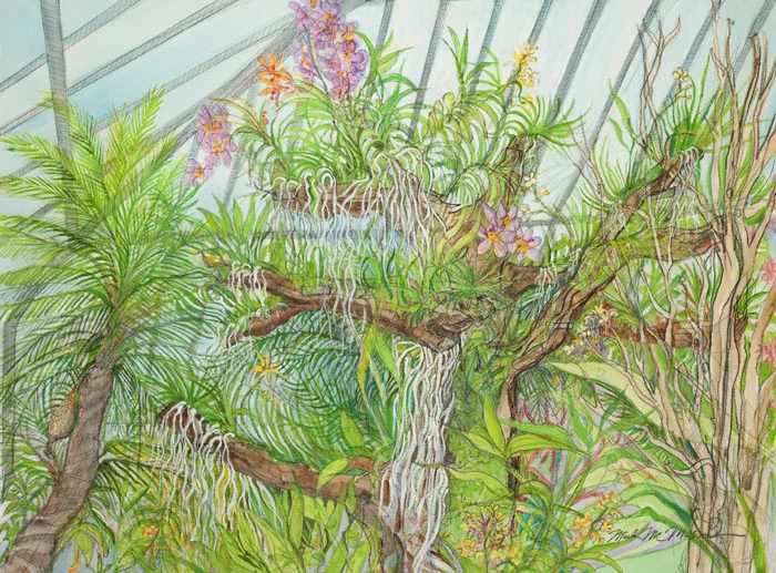 CBG 2017- Orchid Tree jpeg.jpg