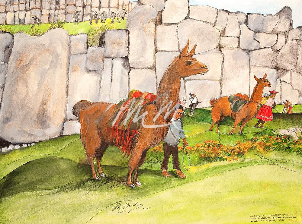 FM-MIKE- ct126-ct5747-Cuzco Peru - Llamas Sacsahuman.jpg