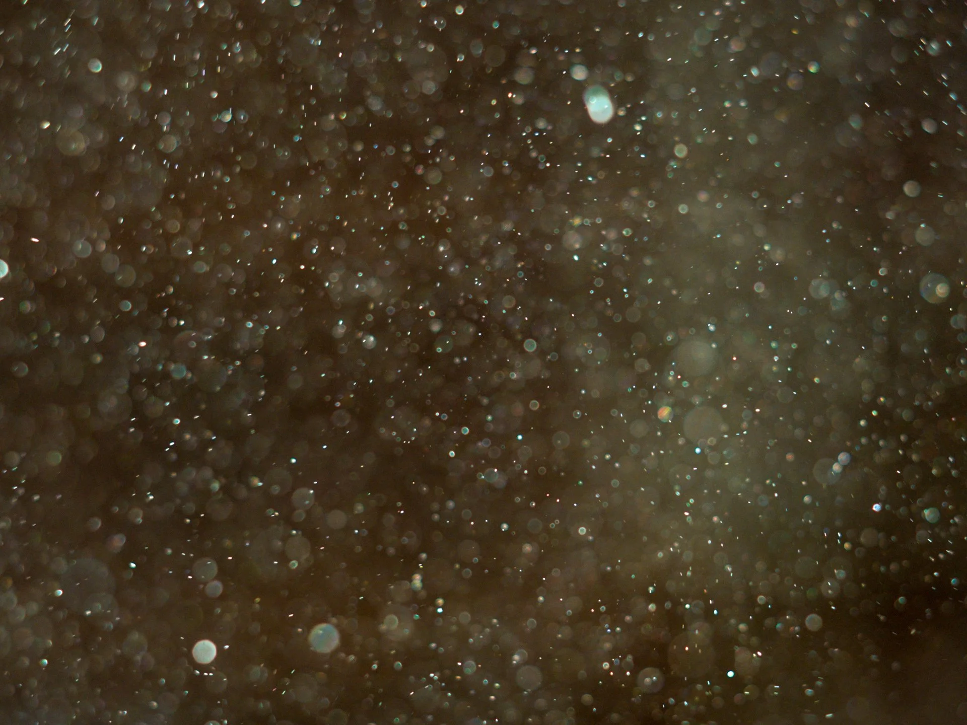 OSPALKY_JPG-02.jpg