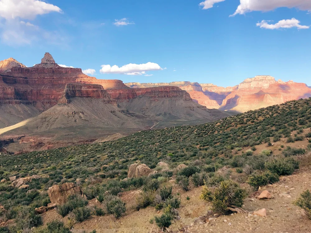 B5D3B912-43A5-407C-B0F5-EED73BBB6002 2.JPG