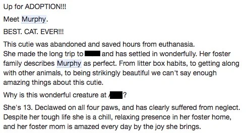 The posting about Murphy on the Shelter’s Facebook page.